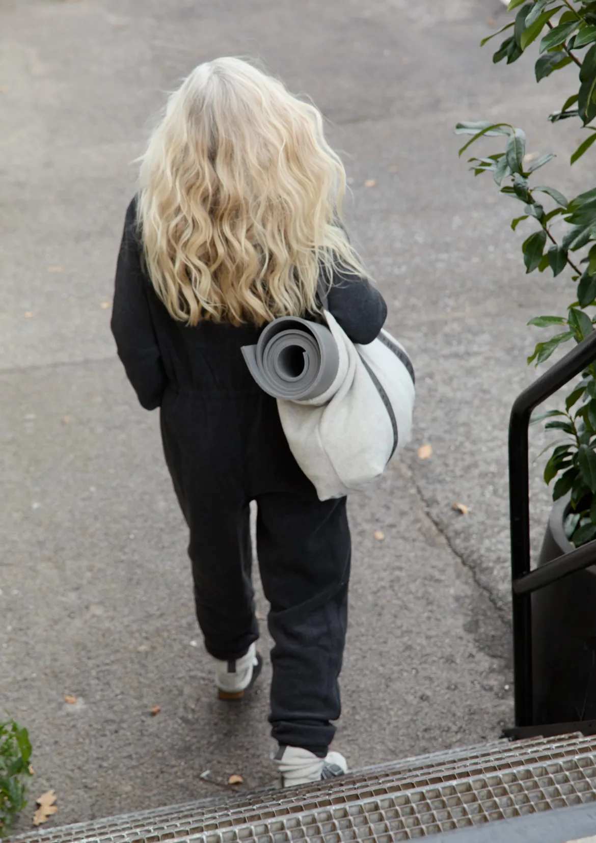TASCHE